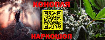 стаф Рязань
